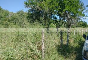 Foto de inmueble en  , Col. González [Ejido] C.P. 89706, González